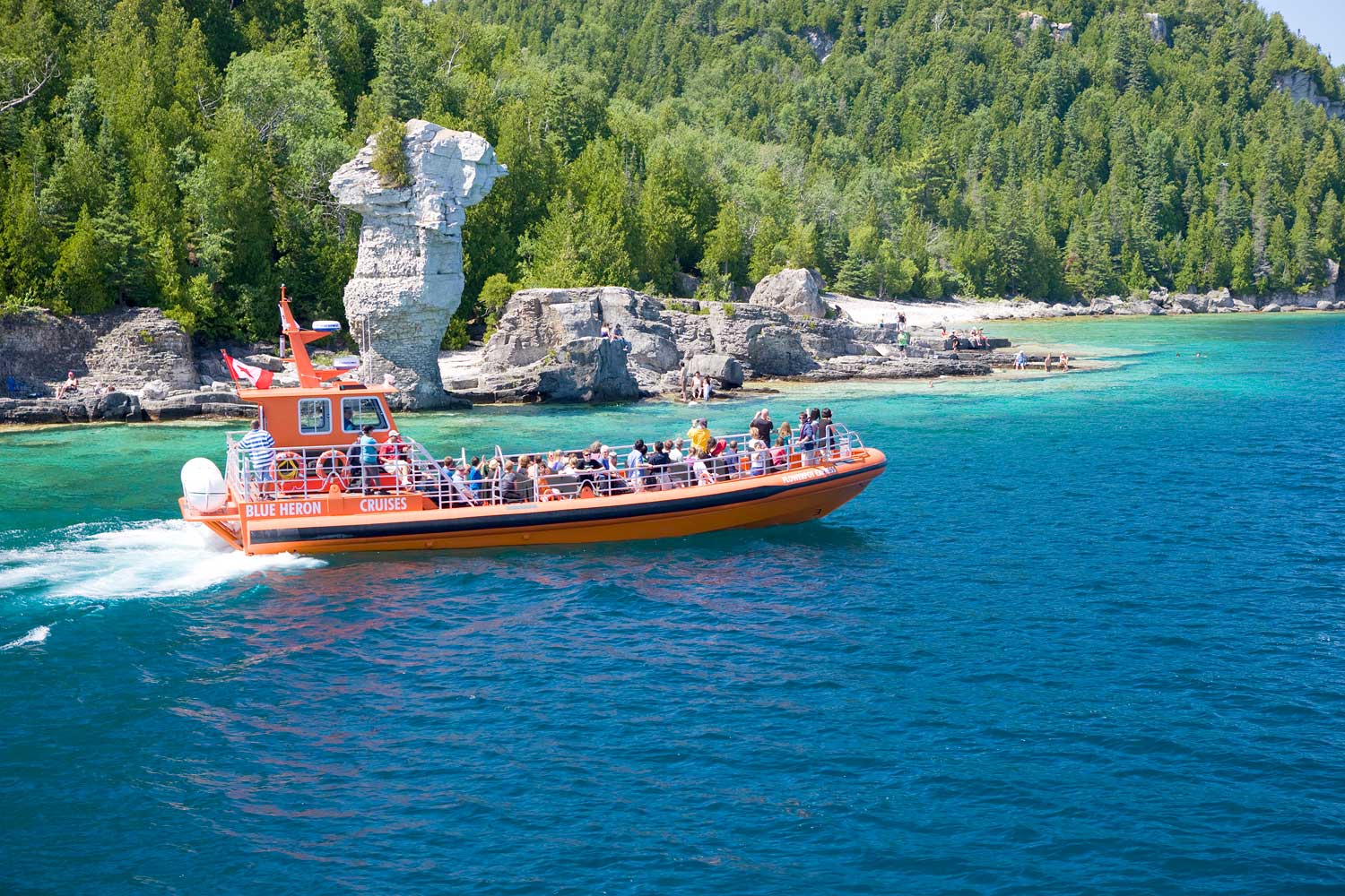 tour boats to flowerpot island